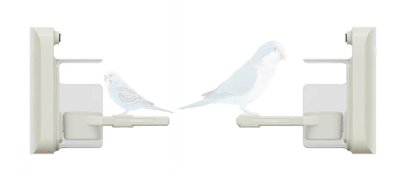 Fit birds, not the other way around