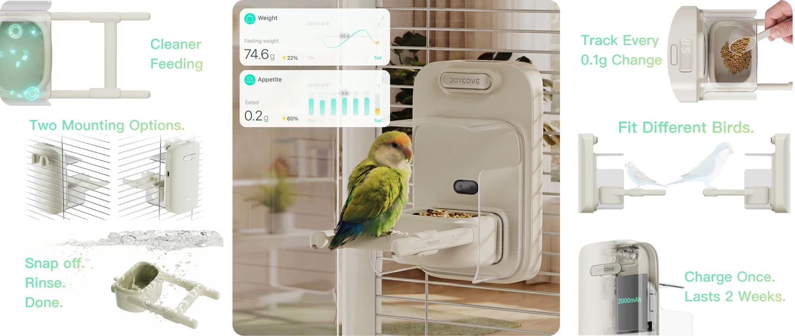 JOYCOVEPET PLUMORA app feature overview